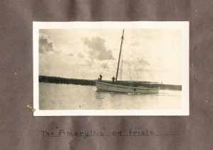 amaryllis-photo-album_0029