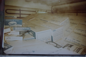 IMGP7131