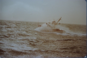 IMGP7132