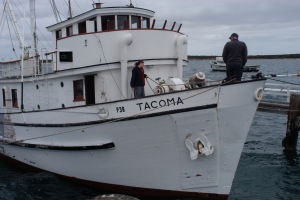 a-tacoma-collection-1-041